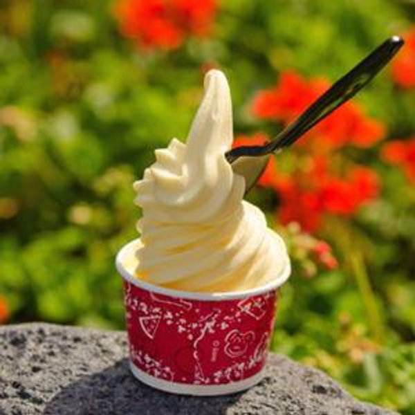 Family Dole Whip Delight