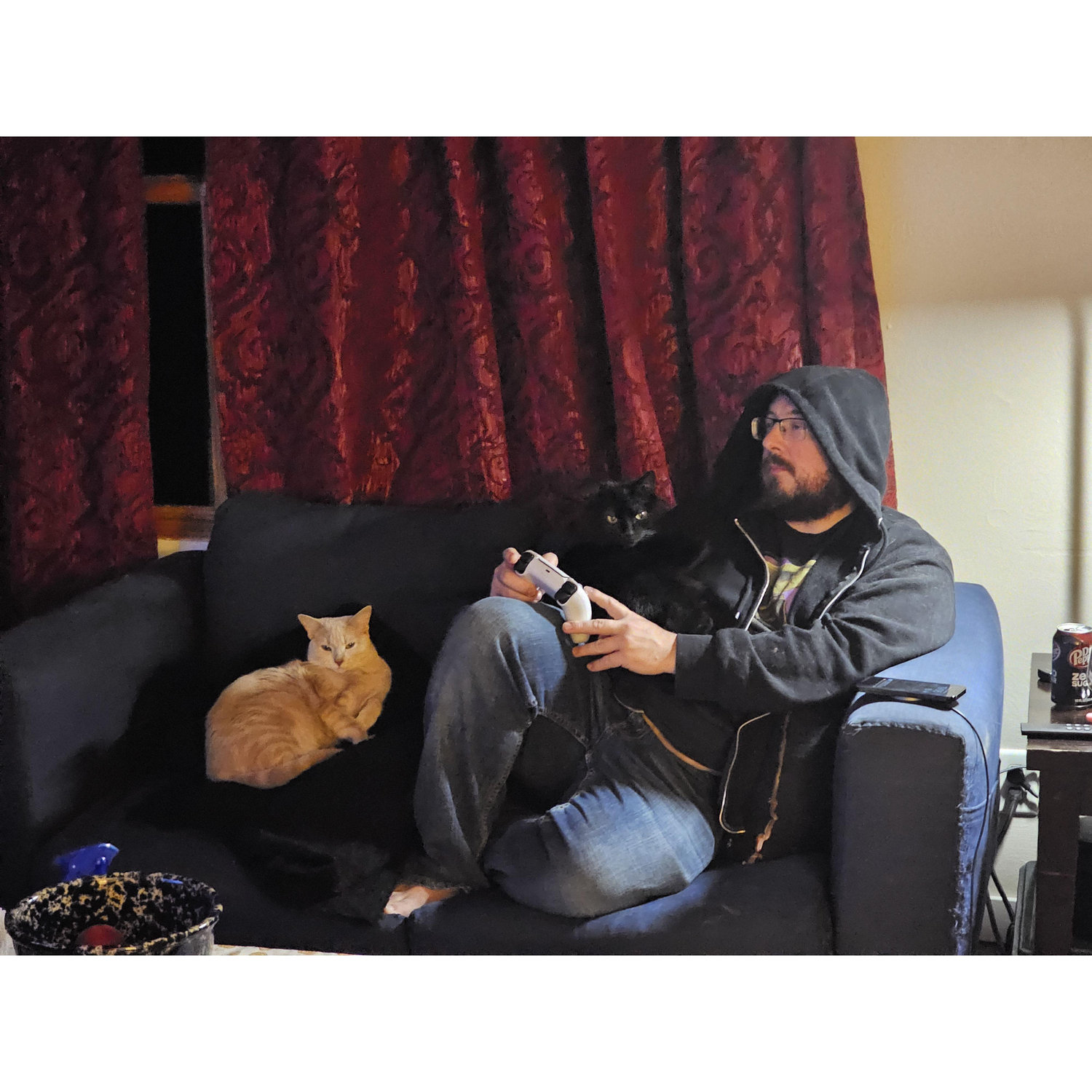 As you can see, it was very difficult for the kitties to adjust to having a new human around and living in a new house.