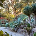 San Francisco Botanical Garden