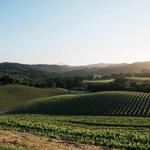 Opolo Vineyards