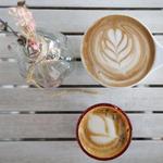 Brevede Coffee Chevy Chase