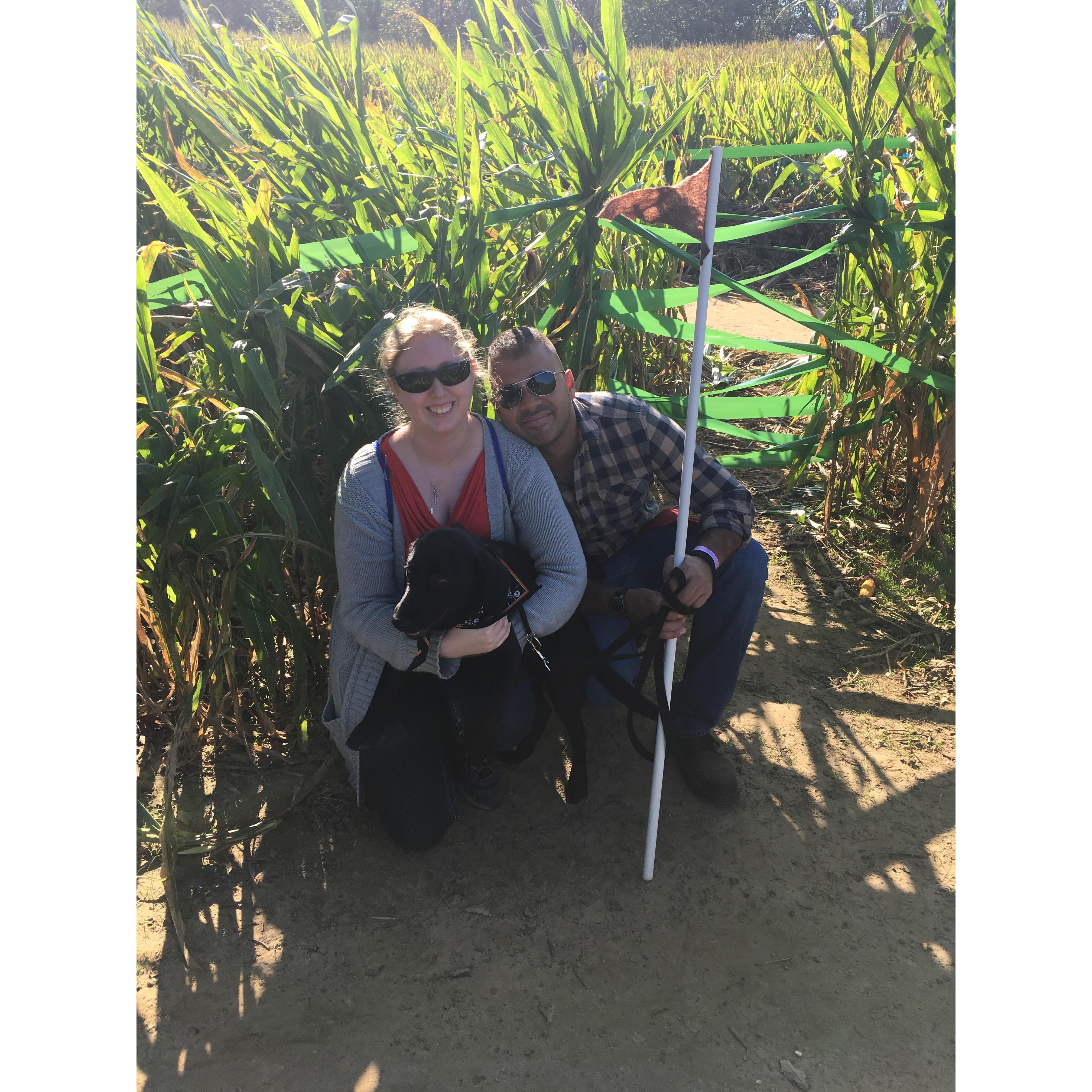 Corn maze day in Fall 2016.