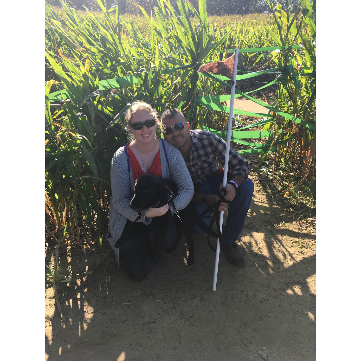 Corn maze day in Fall 2016.