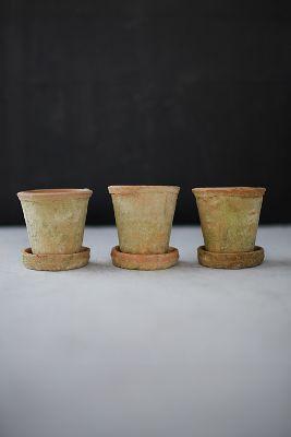 Earth Fired Clay Herb Pot + Saucer, Set of 3