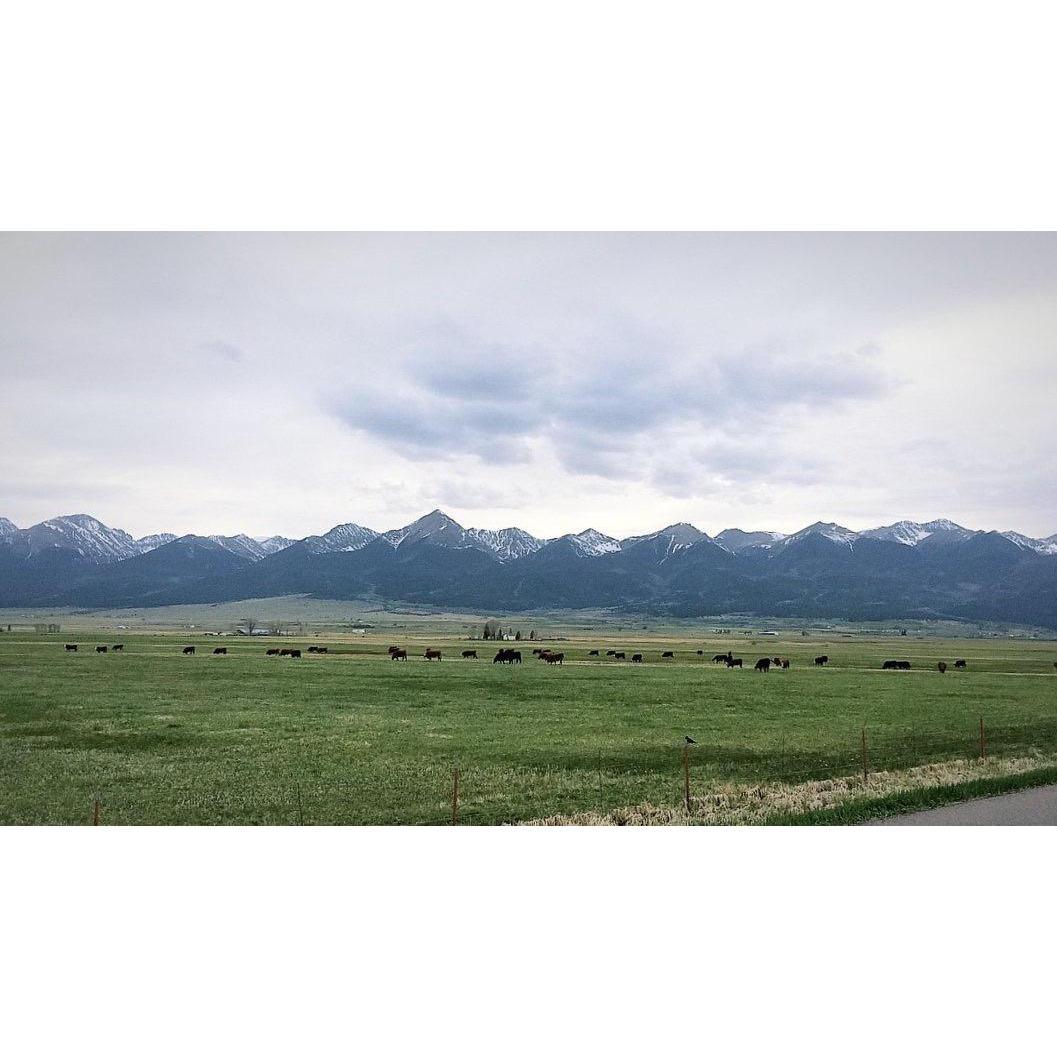 The Valley below the Sangre de Cristos