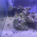 Aquariums- Tropical Fish & Supply, Inc