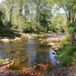 Fair Hill Nature Center