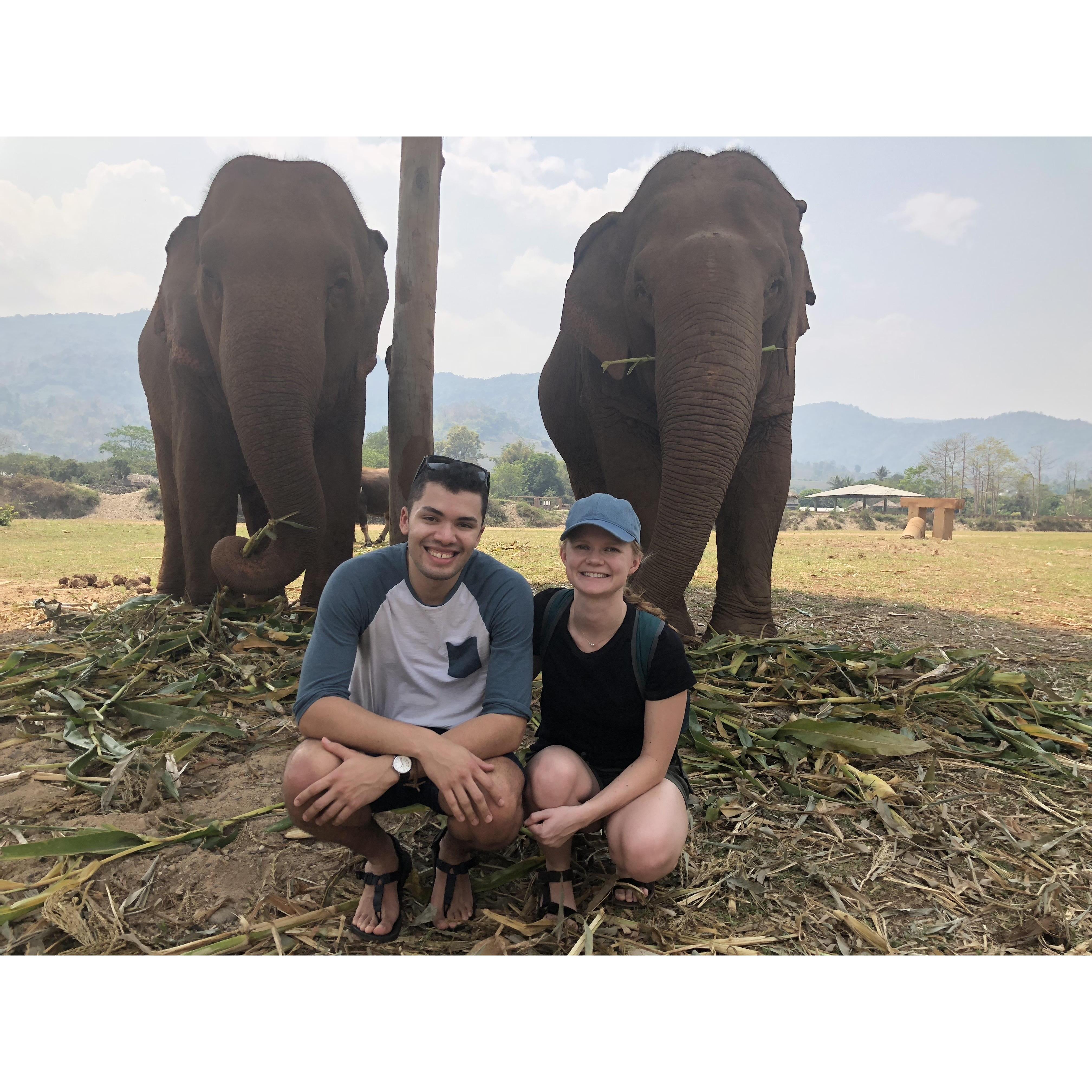 Visiting the elephant sanctuary in Thailand