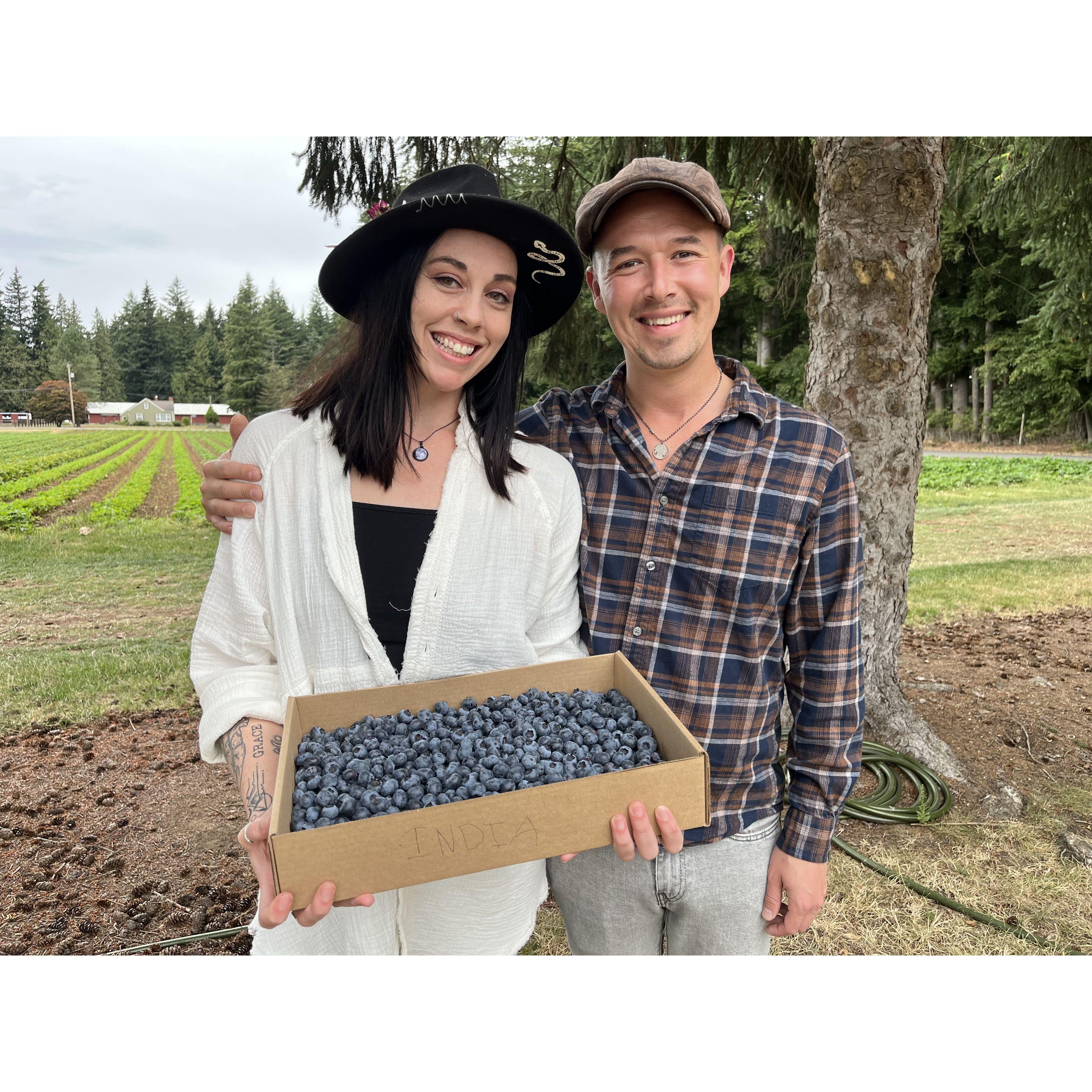 Our first time picking fresh blueberries!