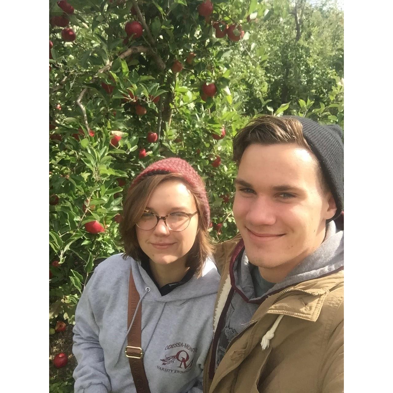 Apple picking: Reisinger's Apple Country - 2015