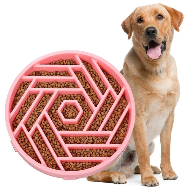 WHIPPY Slow Feeder Dog Bowl, Puzzle Maze Design to Slow Down Eating, 3-Cup Capacity, Anti-Gulping Food Bowl for Medium & Large Dogs,Pink