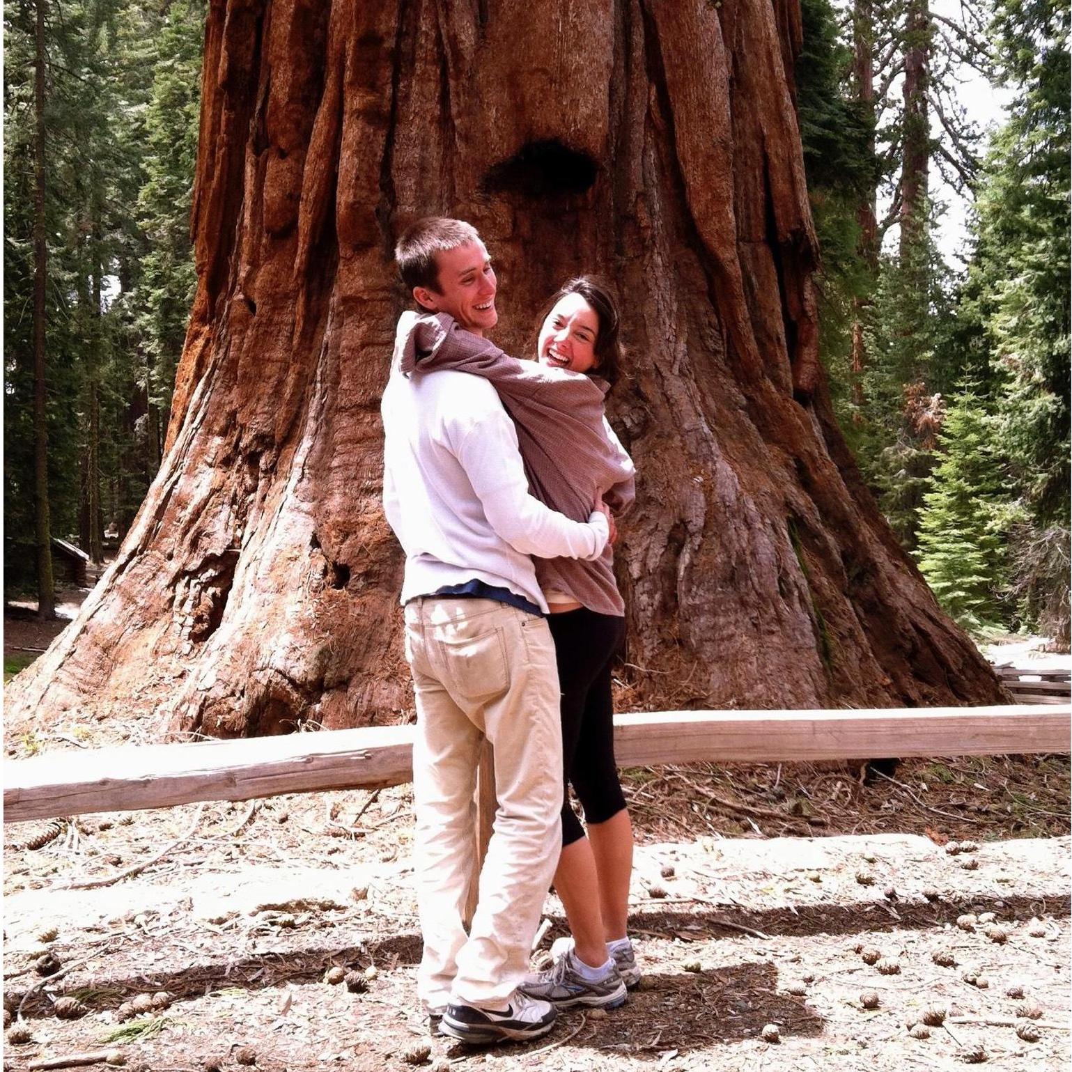 2011 (Yosemite)