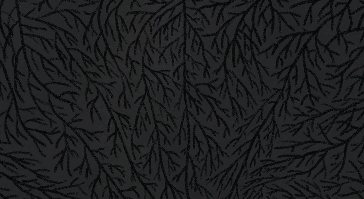 Footer image