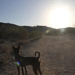 South Mountain - Pima Trail