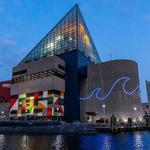 National Aquarium