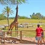 Phoenix Zoo