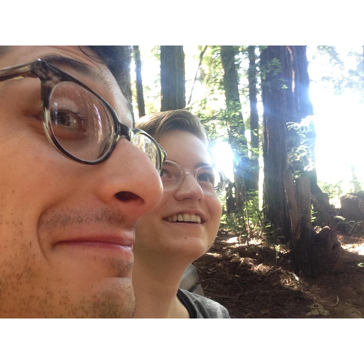 Hiking among the redwoods