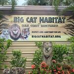 Big Cat Habitat
