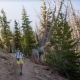 Cedar Breaks National Monument