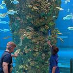 Moody Gardens