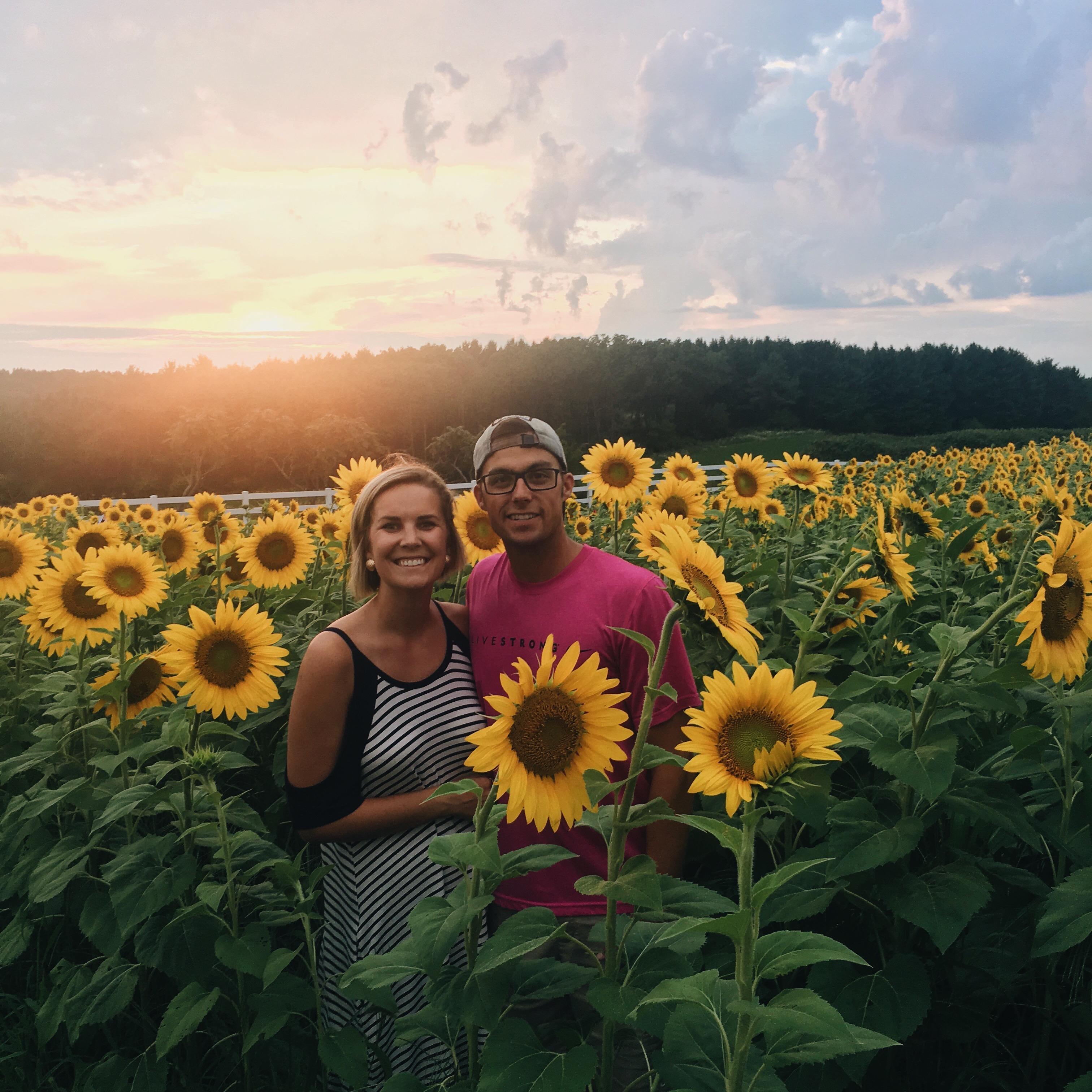 Visiting Pope Farm Sunflower Fields