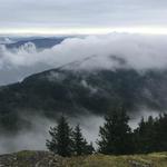 Mount Constitution, Moran State Park