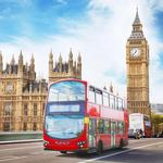 Wed, May 15 - 11am - Red Bus Tour*