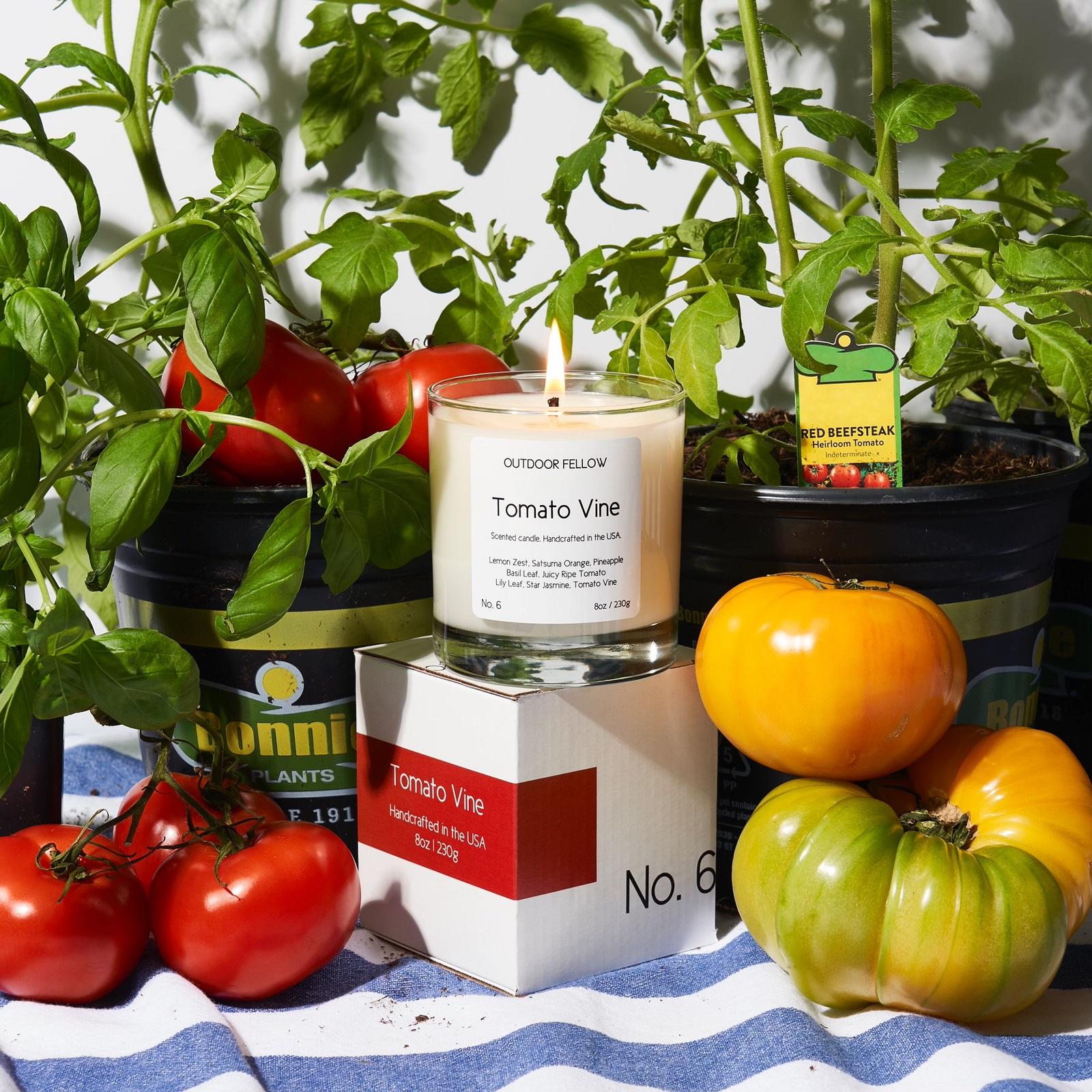 Outdoor Fellow, Tomato Vine Candle | Zola