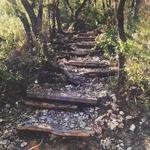 Eisenhower Park