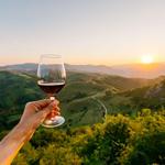 Go Wine Tasting!