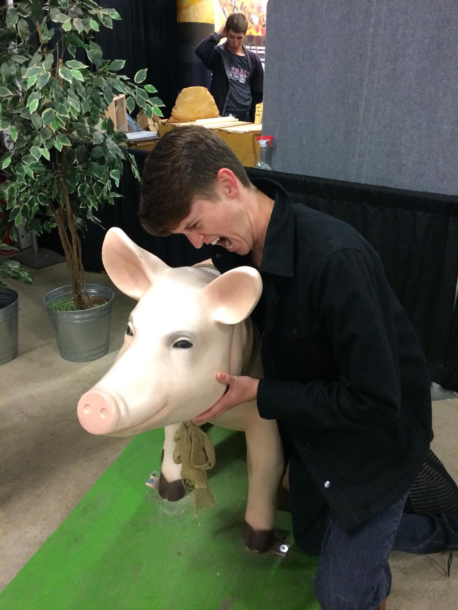 The Calgary Stampede
