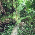 El Yunque National Forest