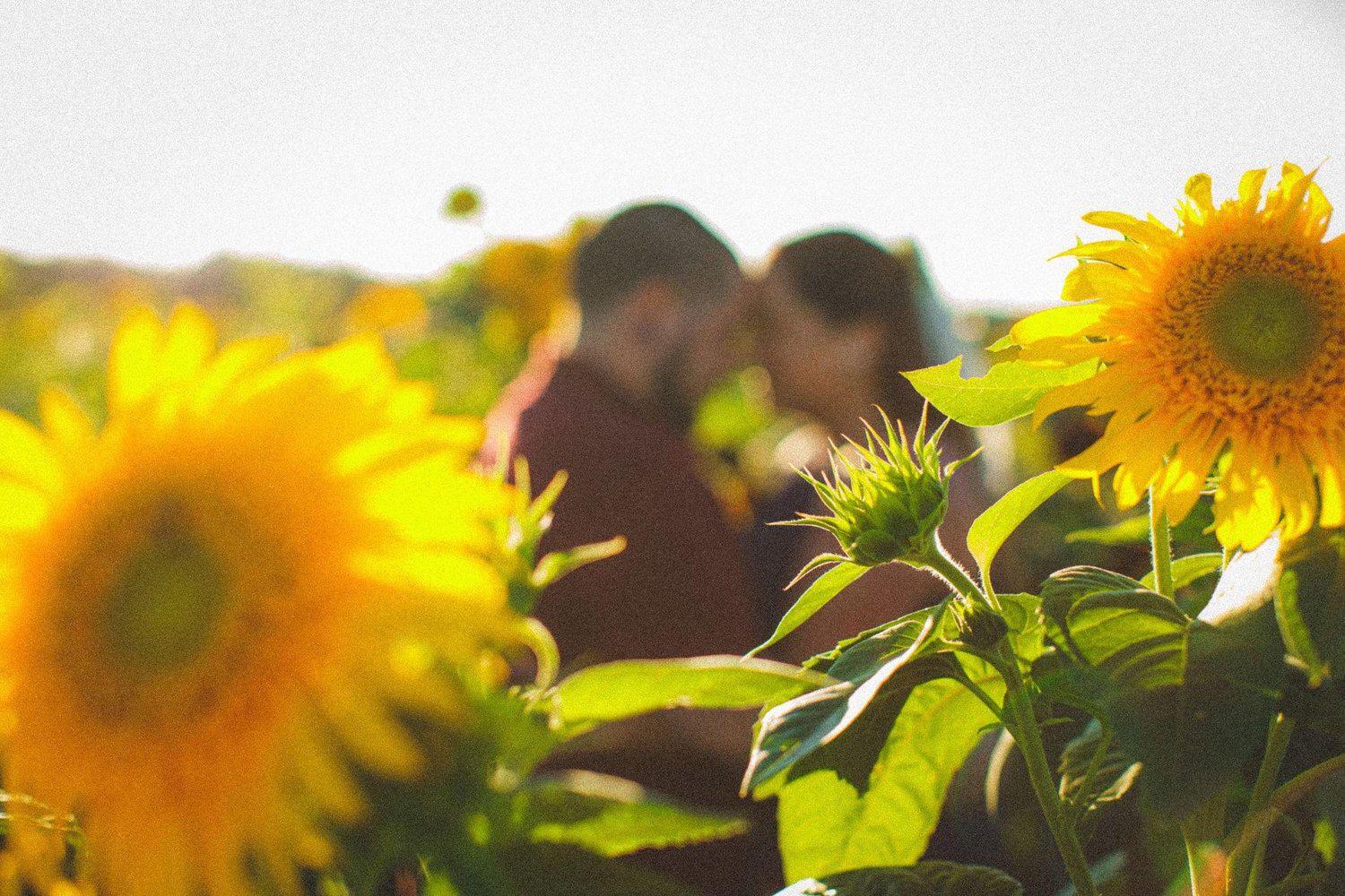 The Wedding Website of Rebecca Presogna and John Schlick