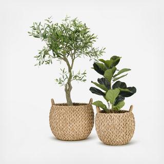 2-Piece Woven Water Hyacinth Basket Set