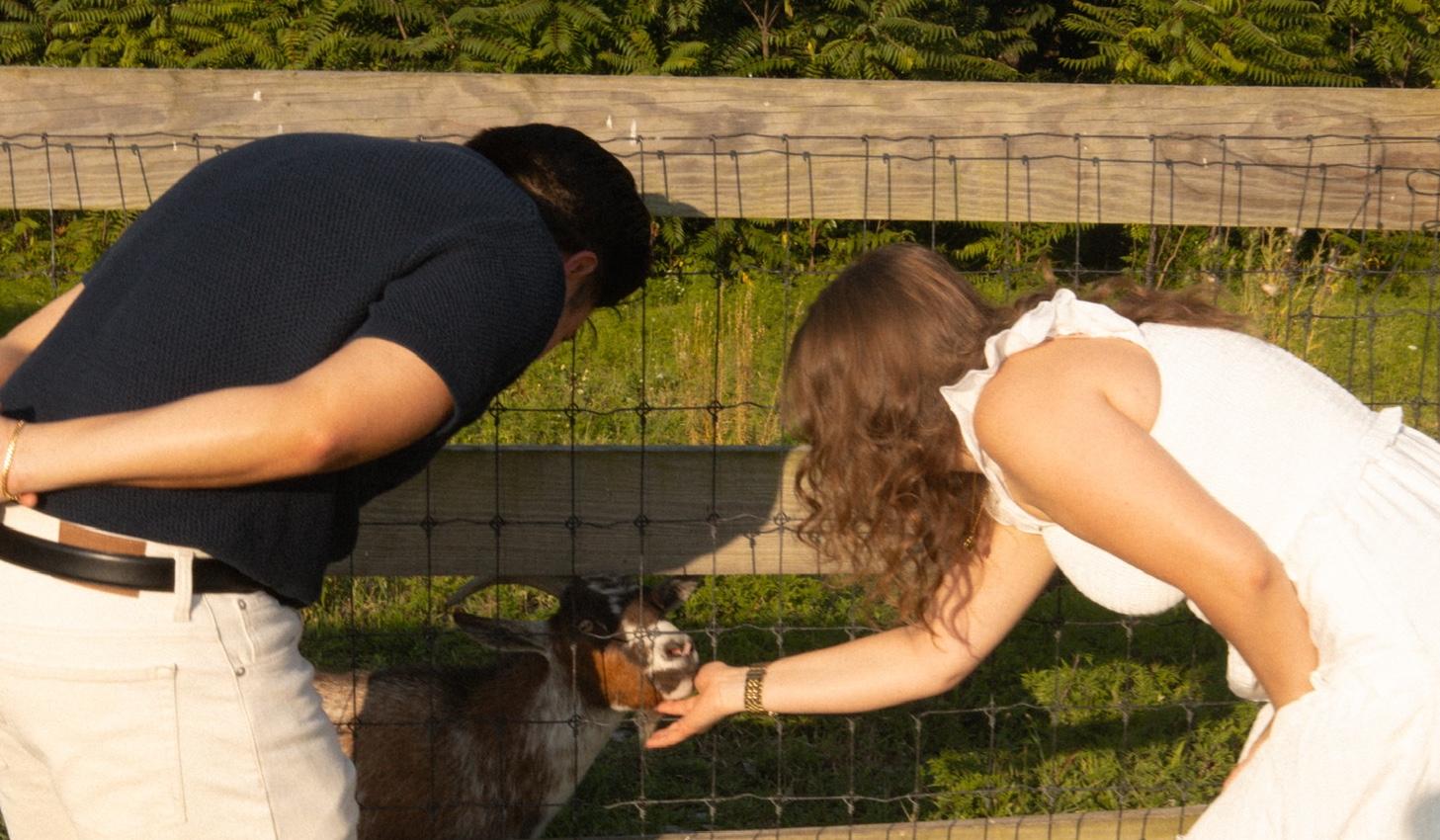 The Wedding Website of Kayla Del Vechio and Edwin Rodriguez
