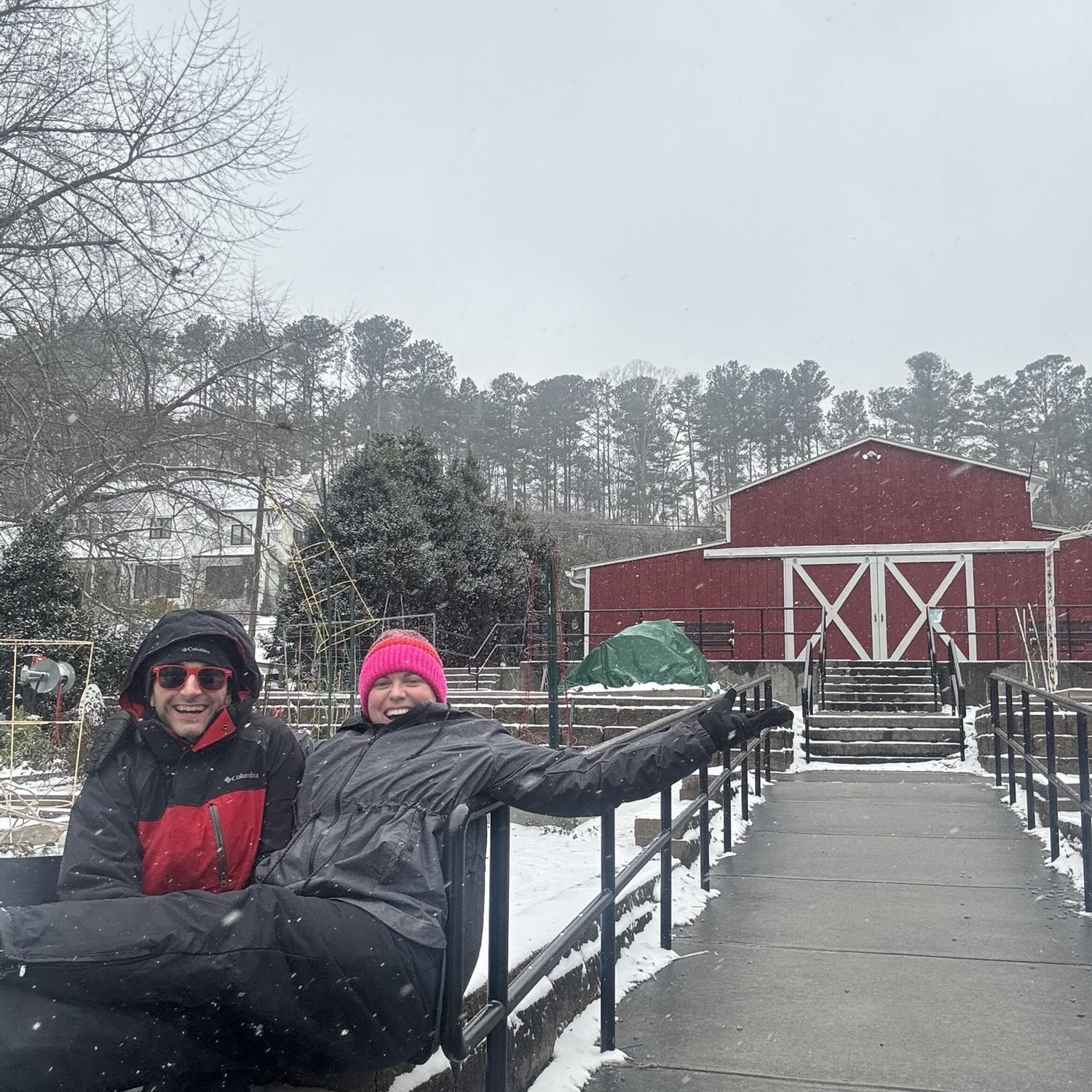 Our garden plot at White Street Park