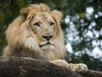 Zoo Atlanta