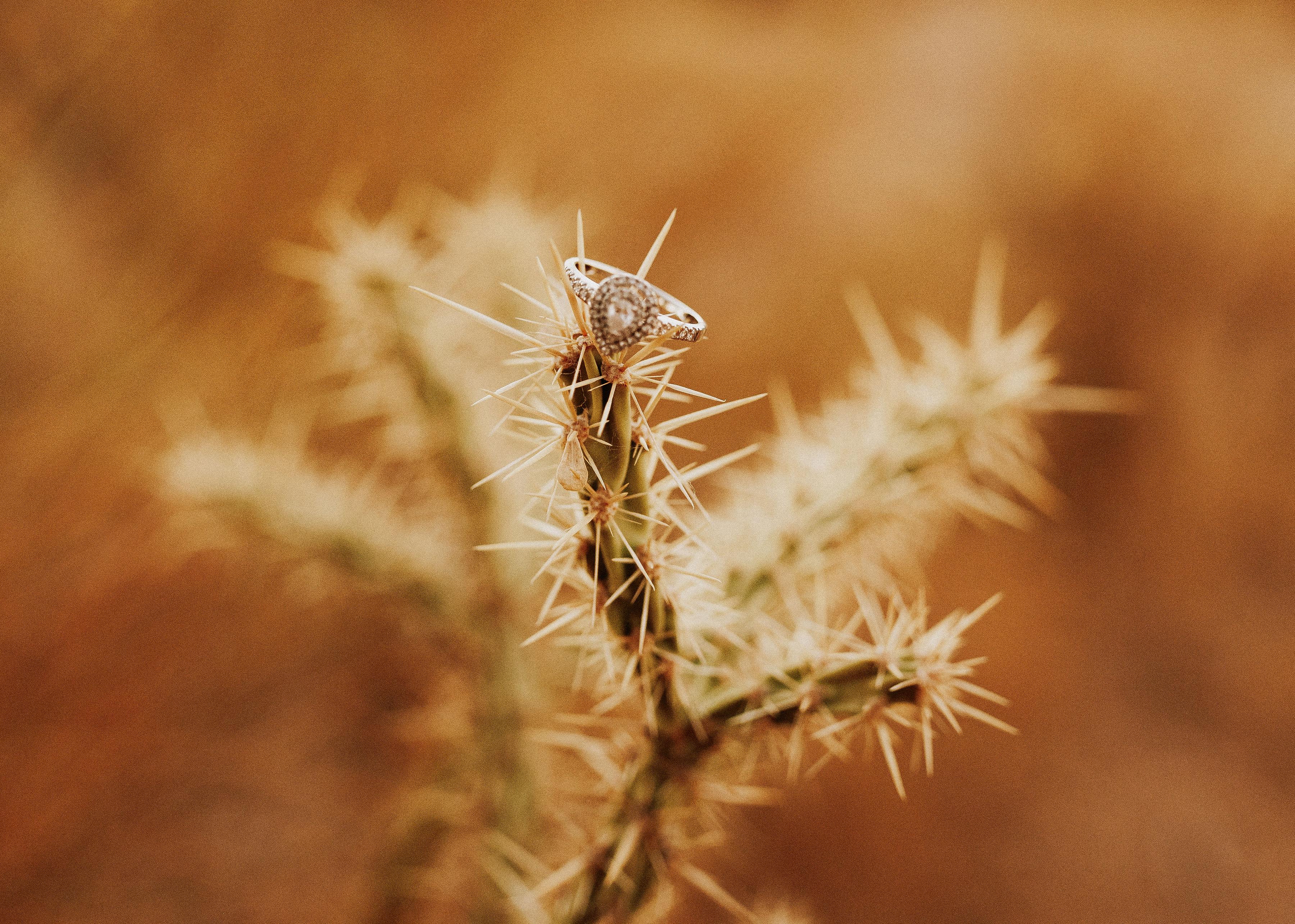 The Wedding Website of Kyrie Fuller and Mark Becerra