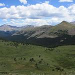 Hiking - Collegiate Peaks