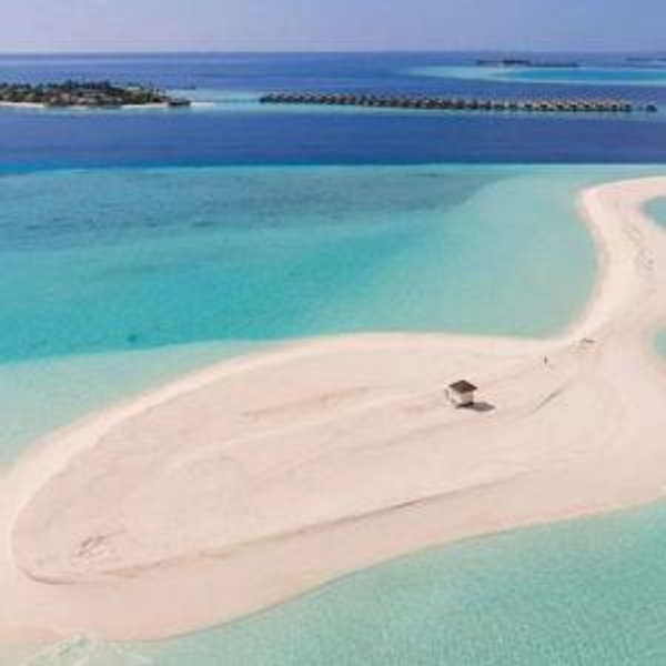 Dream Island Visit
