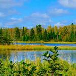 Kettle Morraine State Forest