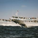 Cape Ann Whale Watch