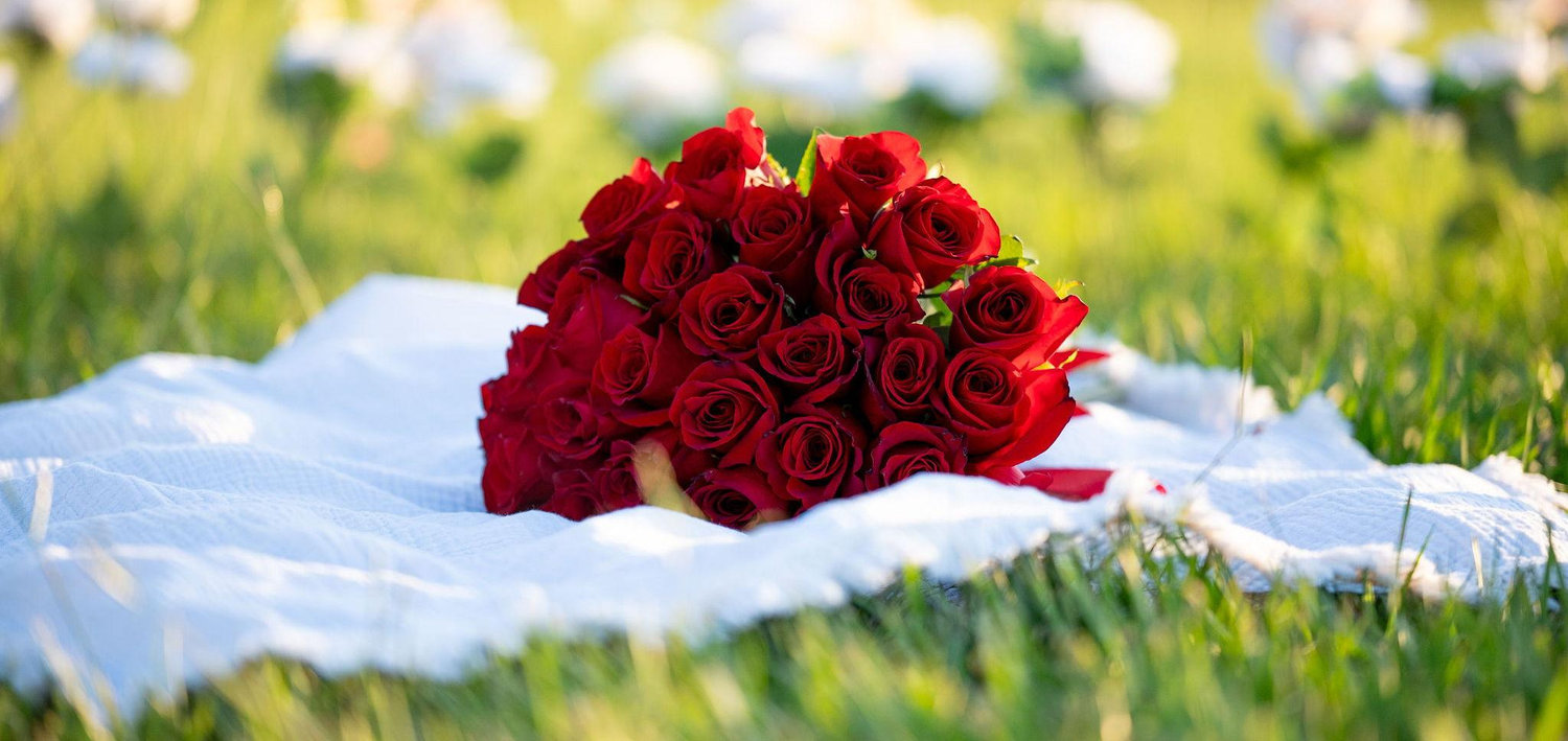 The Wedding Website of Alexis Smythe and Yaswanth Tummala