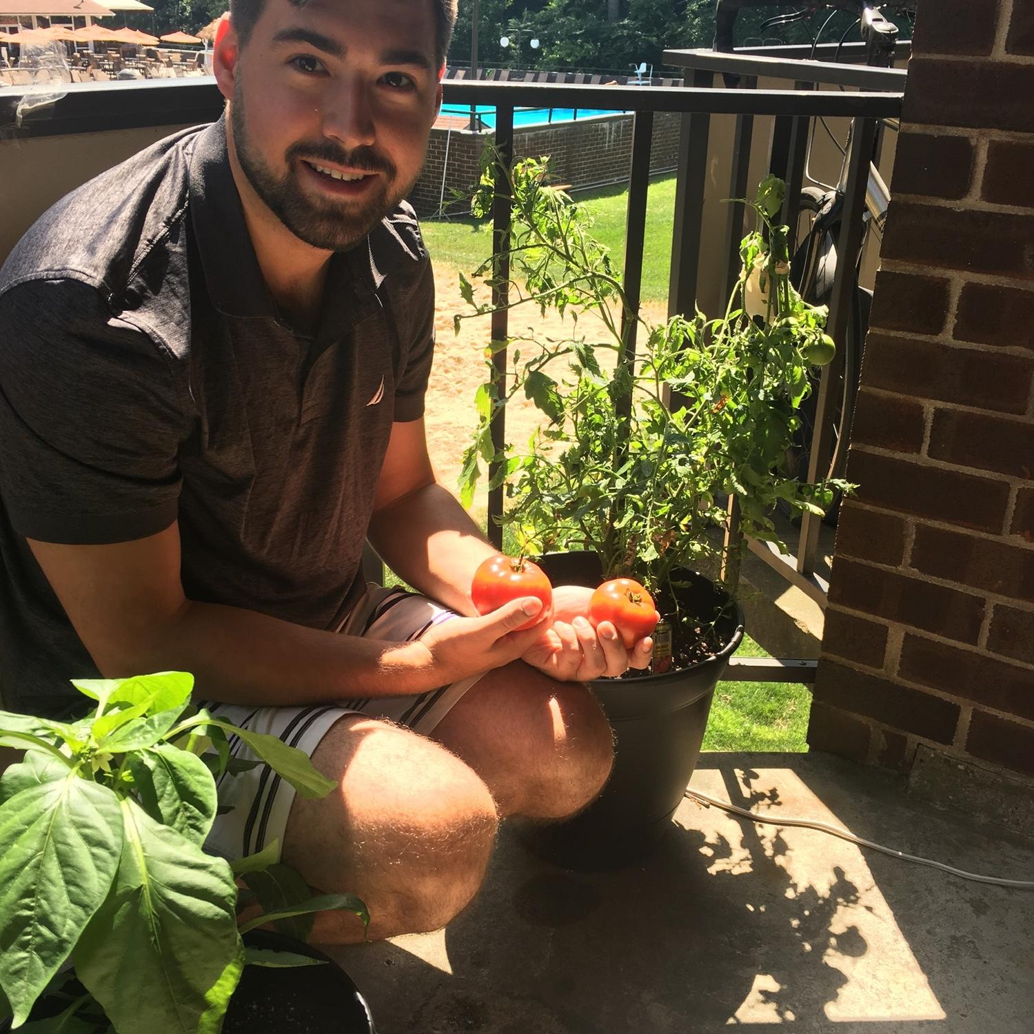 Farmer Max and his ‘Maters on the Summit Park Balcony