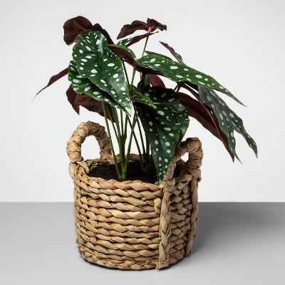 17" x 15.5" Artificial Dotted Begonia Plant in Basket Green/Natural - Opalhouse™