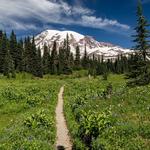 Mount Rainier