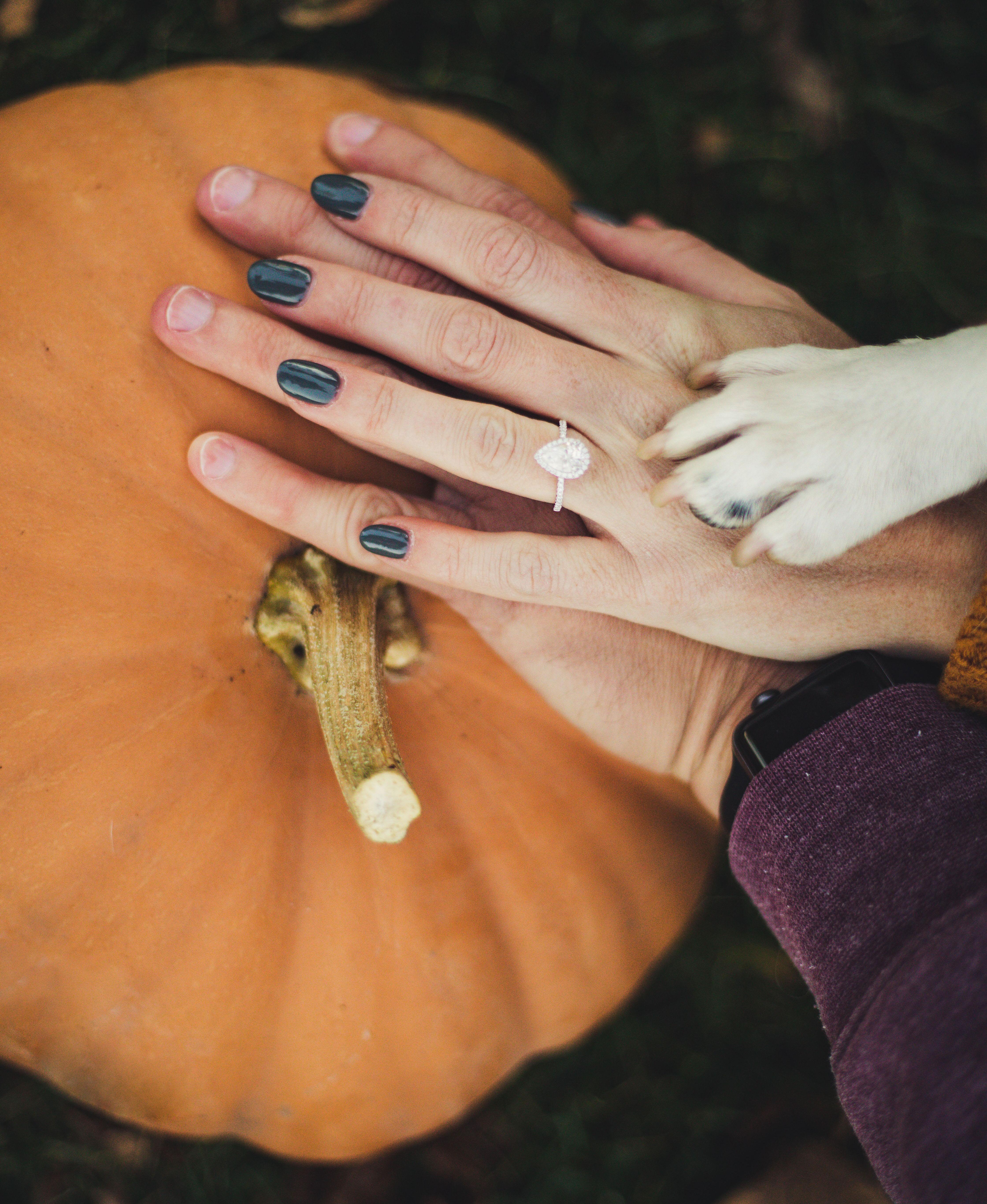 The Wedding Website of Cory Galen and Kyle Skager