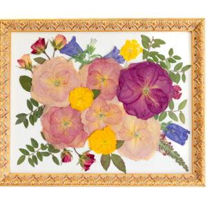 Flower Preservation