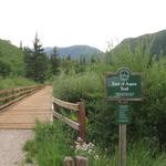 East of Aspen Trail