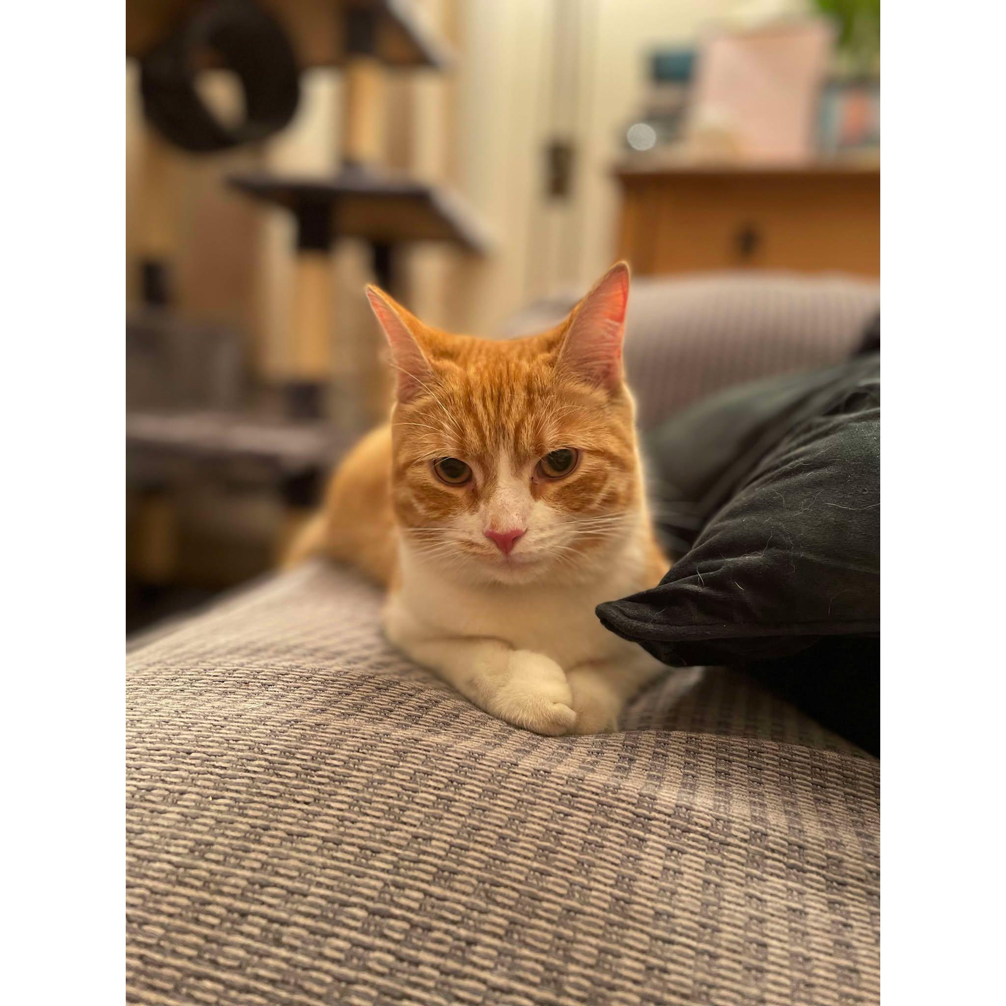 He got comfortable.
